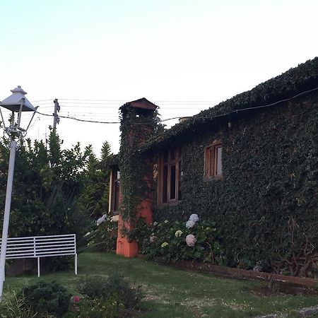Cabanas En Mazamitla Betito Βίλα Εξωτερικό φωτογραφία