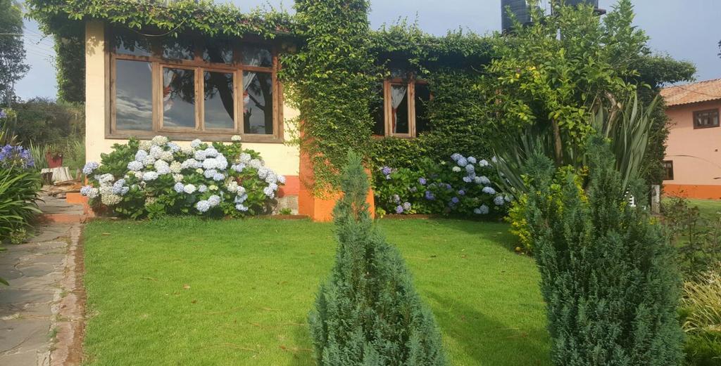 Cabanas En Mazamitla Betito Βίλα Εξωτερικό φωτογραφία