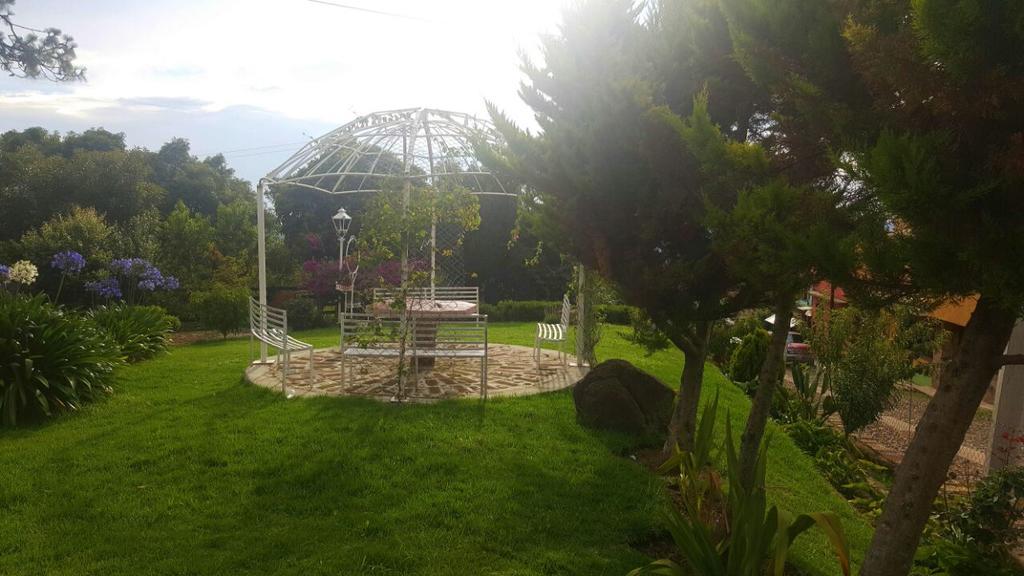 Cabanas En Mazamitla Betito Βίλα Εξωτερικό φωτογραφία